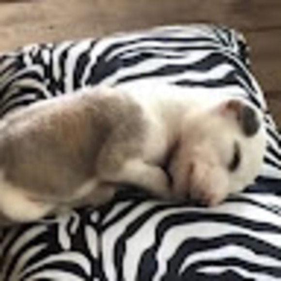 Meet your Posher, Mercedes - Picture 1 of 1